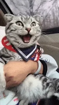 Рассылки по СМИ